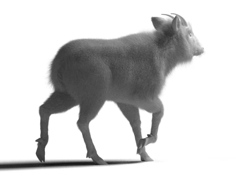 Rigged Hybrid sheep with 1k textures and animations 3D Model