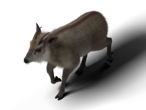 Mouton hybride truqué avec 1k textures et animations Modèle 3D