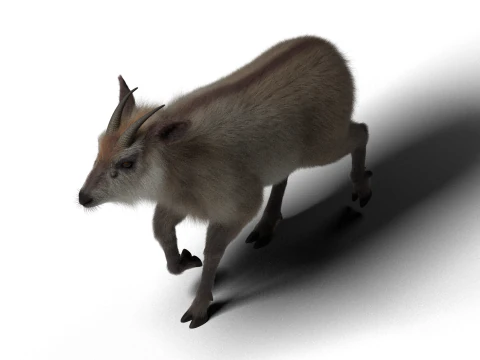 Rigged Hybrid sheep with 1k textures and animations 3D Model