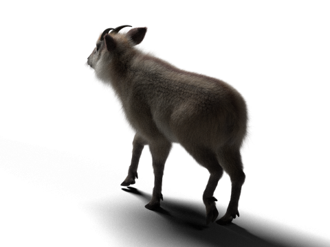 Mouton hybride truqué avec 1k textures et animations Modèle 3D