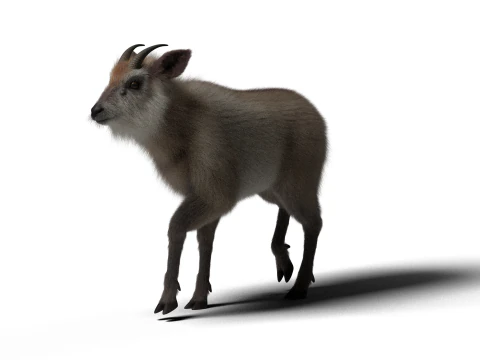 Rigged Hybrid sheep with 1k textures and animations 3D Model
