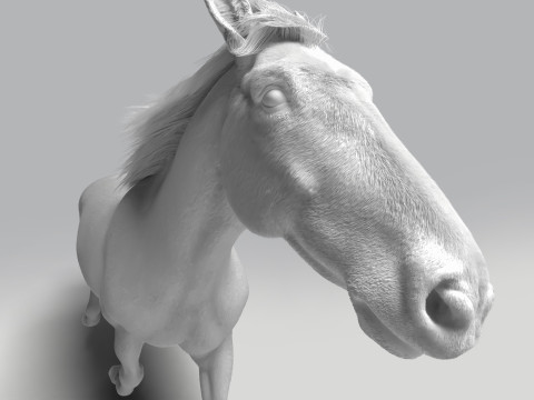 Rigged white horse with 4k textures and animations Modèle 3D