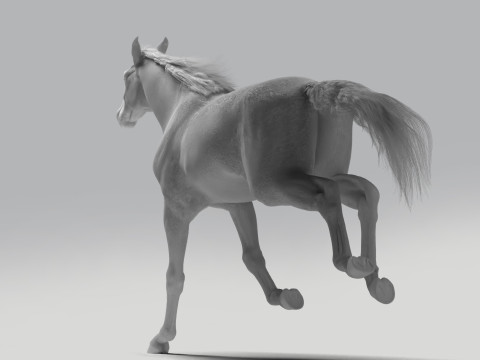 Rigged white horse with 4k textures and animations Modèle 3D