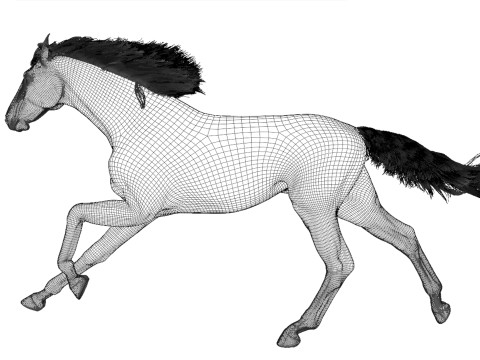 Rigged white horse with 4k textures and animations Modèle 3D