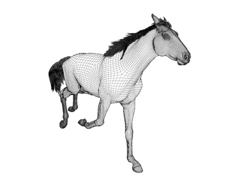Rigged white horse with 4k textures and animations Modèle 3D