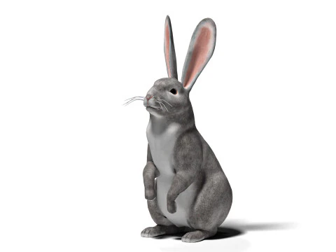 Rigged Gray Rabbit with 2k textures and animations 3D Model