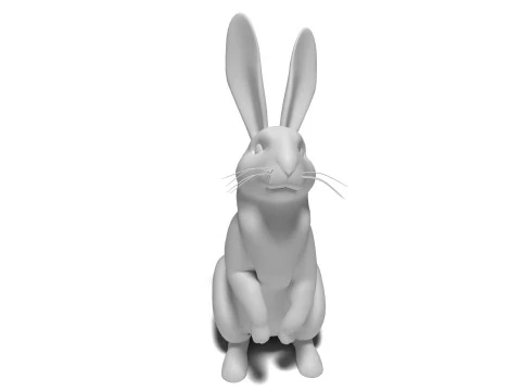 Rigged Gray Rabbit with 2k textures and animations 3D Model
