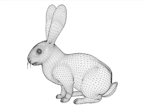 Rigged Gray Rabbit with 2k textures and animations 3D Model