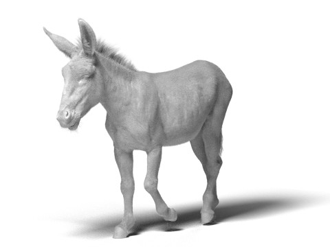 Rigged Donkey with 4K Textures and Animations 3D मॉडल