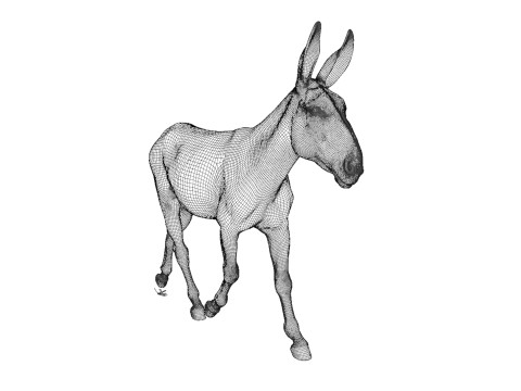 Rigged Donkey with 4K Textures and Animations 3D मॉडल