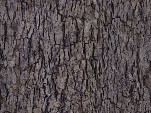 クリスマスツリー オンガイオ 3Dモデル