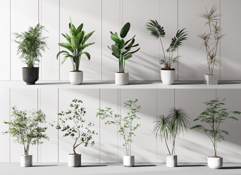 Kombinasi tanaman pot modern Model 3D .c4d .max .obj .3ds .fbx .stl .blend 