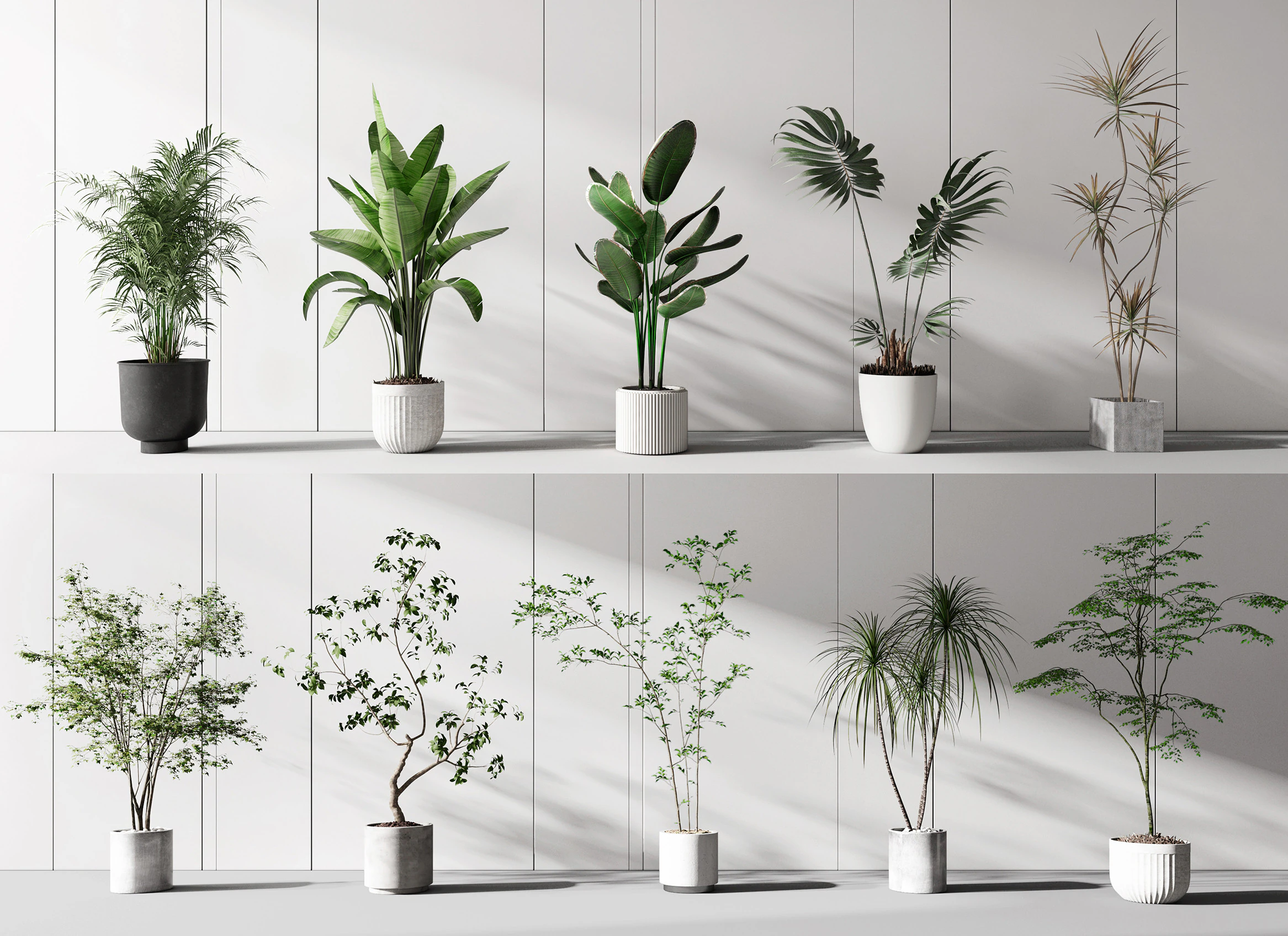 Modern potted plant combination 3D Model .c4d .max .obj .3ds .fbx .stl .blend 