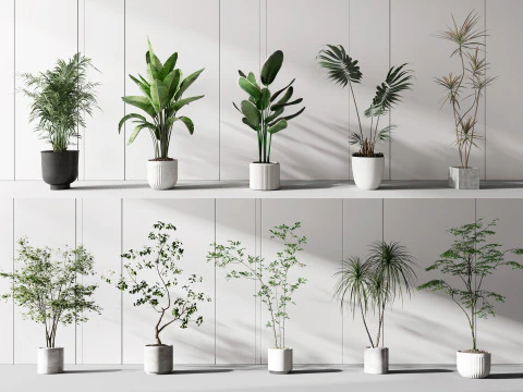 Moderna combinazione di piante in vaso Modello 3D