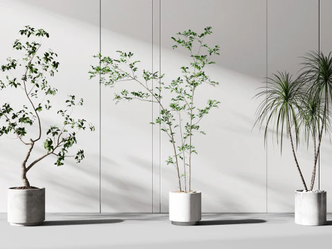 Modern potted plant combination 3D Model