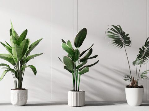 Kombinasi tanaman pot modern Model 3D