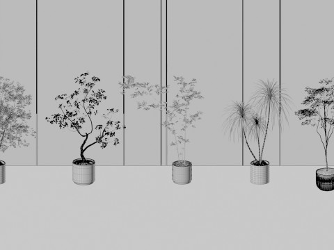 Kombinasi tanaman pot modern Model 3D