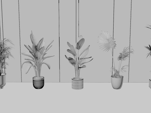 Kombinasi tanaman pot modern Model 3D