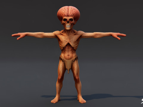 Brain Ghoul T-Pose Modèle 3D