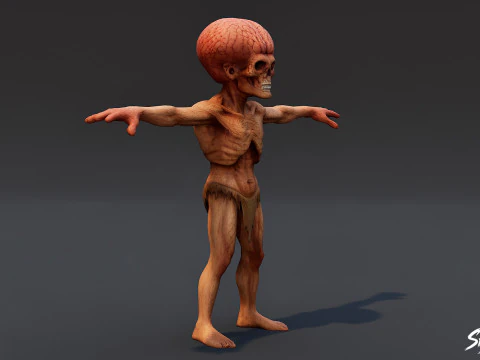 Brain Ghoul T-Pose 3D Model