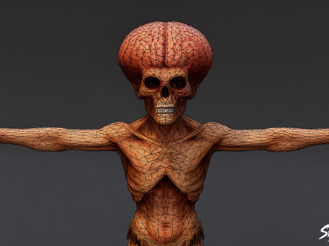 Pose en T del cerebro necrófago Modelo 3D
