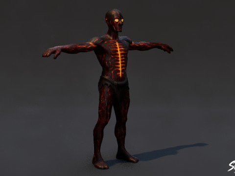 불 구울 T-포즈 3D 모델