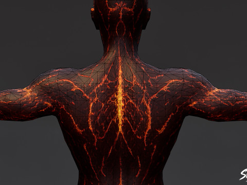 불 구울 T-포즈 3D 모델