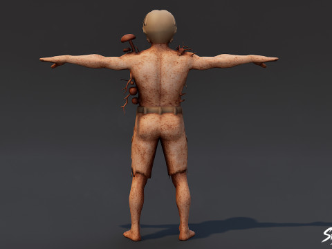 Т-поза Грибного Гуля 3D Модель