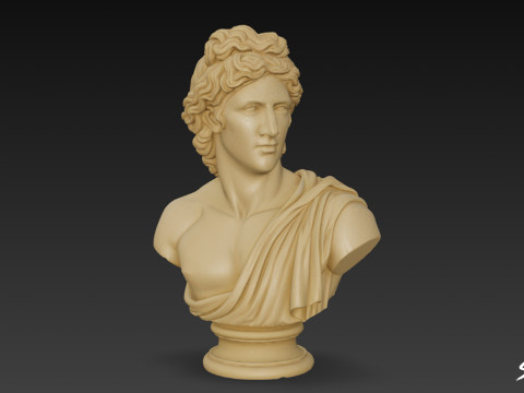 Бюст греческого бога Аполлона 3D Модель