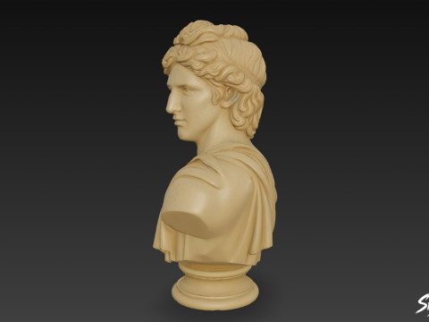 Busto del dio greco Apollo Modello 3D