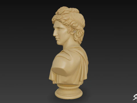 Greek God Apollo Bust 3D Model