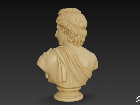 Greek God Apollo Bust 3D Model