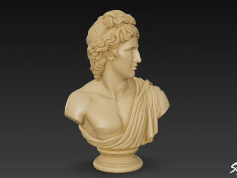 Greek God Apollo Bust 3D Model