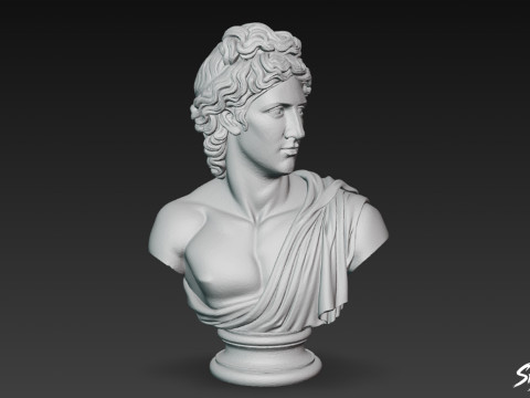 Busto del dio greco Apollo Modello 3D