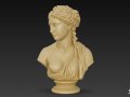 Greek Goddess Aphrodite Bust 3Dモデル