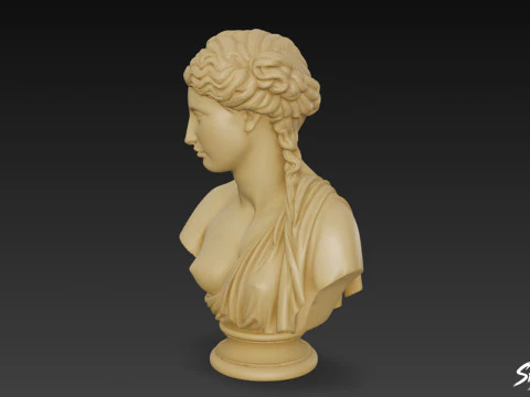 Greek Goddess Aphrodite Bust 3D Model