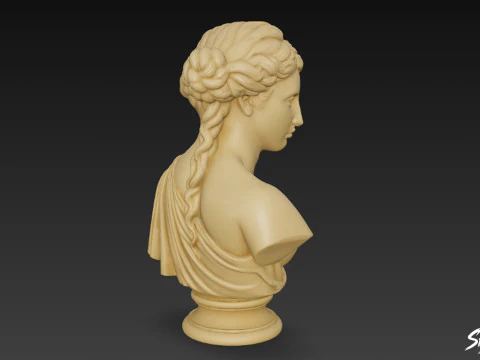 Greek Goddess Aphrodite Bust 3D Model