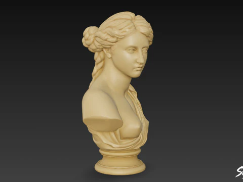 Greek Goddess Aphrodite Bust 3D Model