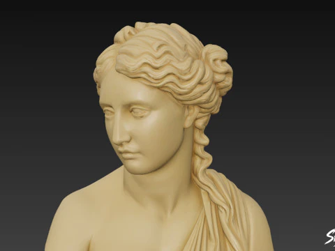 Greek Goddess Aphrodite Bust 3D Model