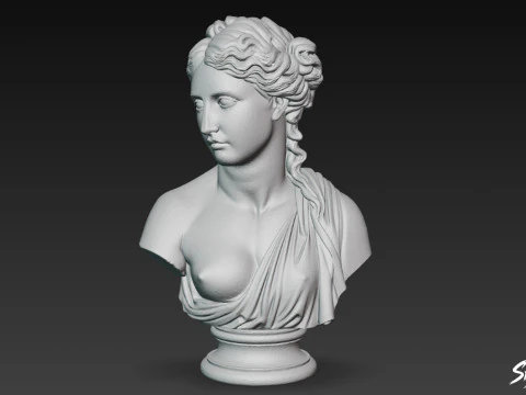Greek Goddess Aphrodite Bust 3D Model