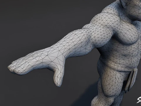 Shadow Ogre T-Pose Pack 3D Model