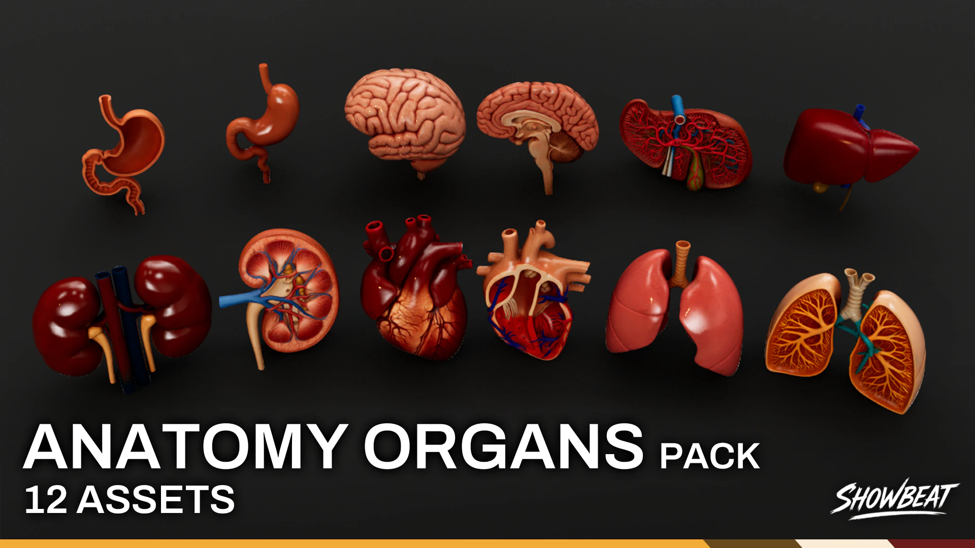 Human Anatomy Organs Pack 3D Model .c4d .max .obj .3ds .fbx .stl .blend