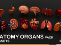Human Anatomy Organs Pack 3D 모델