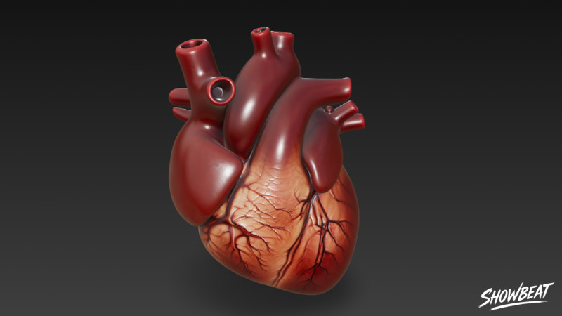 Serce Model 3D .c4d .max .obj .3ds .fbx .stl .blend 