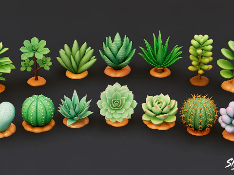 Cartoon Succulent Plants Pack 3D Model