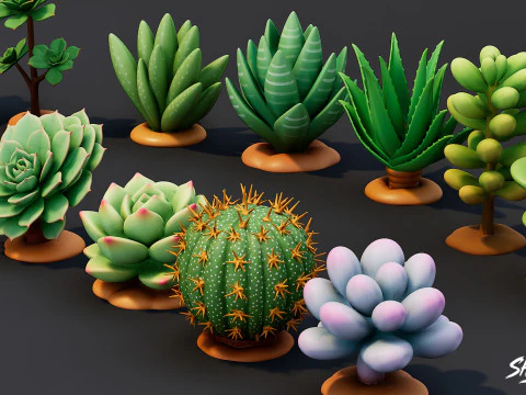 Cartoon Succulent Plants Pack 3D Model