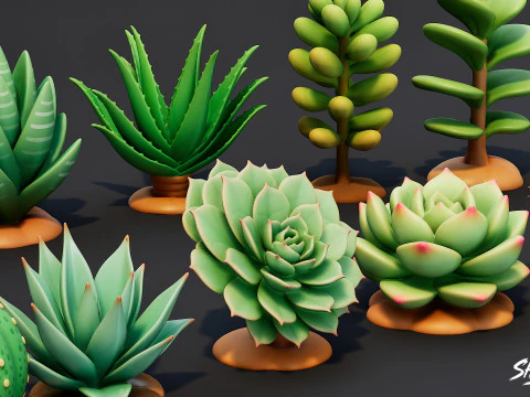 Cartoon Succulent Plants Pack 3D Model