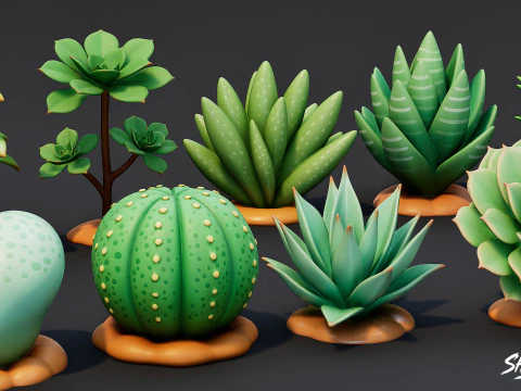 Cartoon Succulent Plants Pack 3D Model