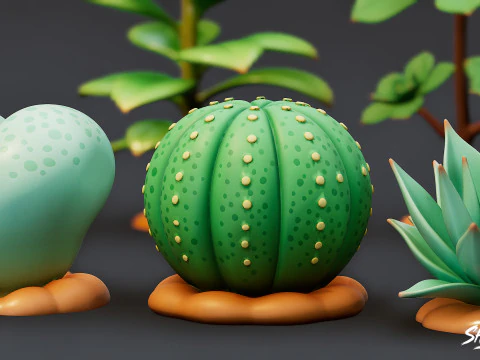 Cartoon Succulent Plants Pack 3D Model
