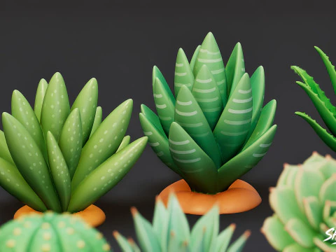 Cartoon Succulent Plants Pack 3D Model